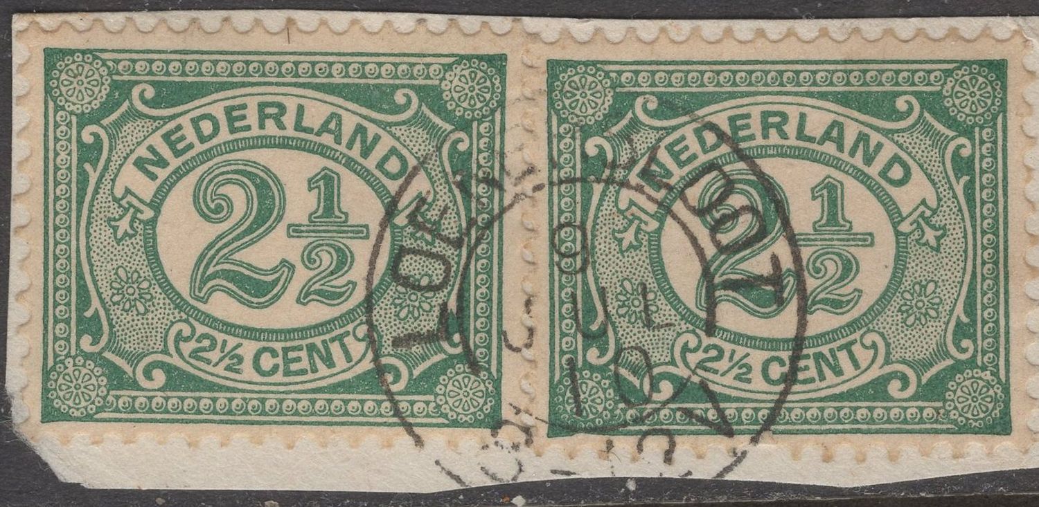 Loenersloot op nvph 55 in paar