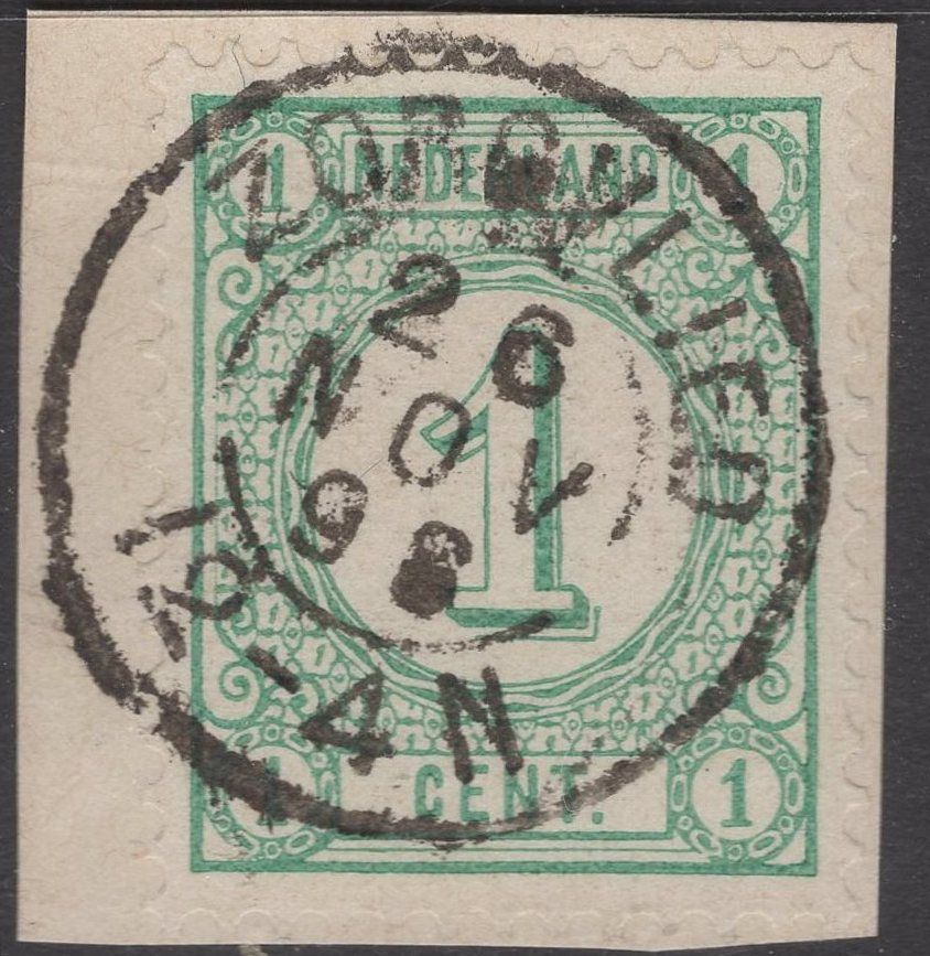 Zorgvlied op nvph 31a