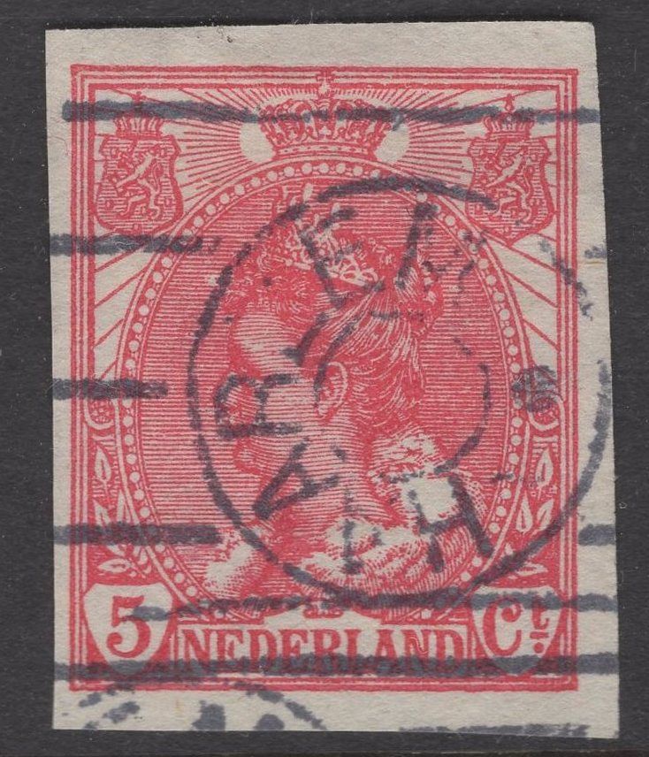 Haarlem zj op nvph 81