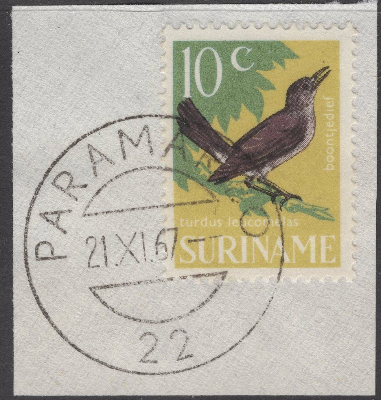 Paramaribo op nvph 446