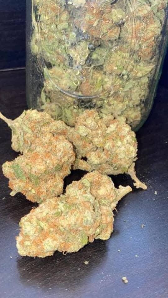 Sour Diesel
