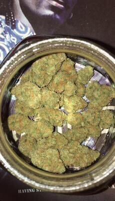 Bud 🌱