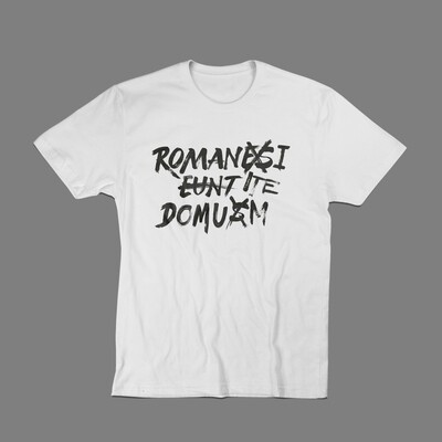 Camiseta «Romani Ite Domum»