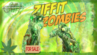 Ziffit Zombie Puppet and Ziffits Movie Sponsorship
