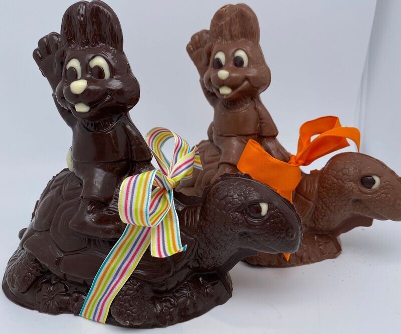 Lapin Tortue