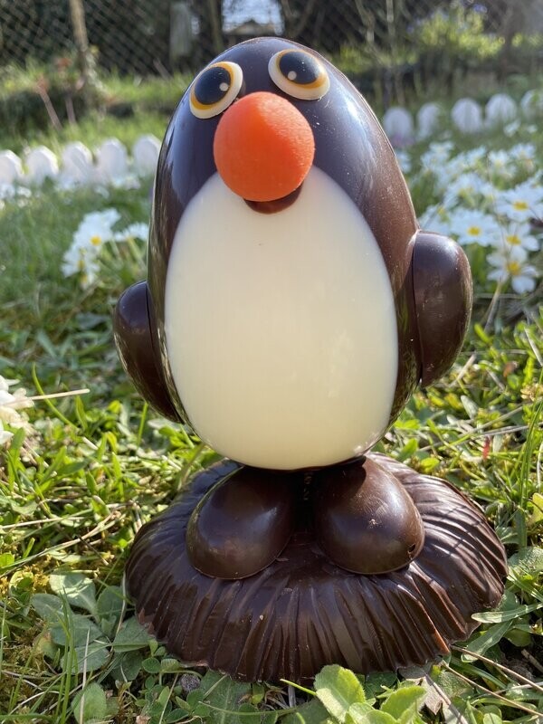 PINGOUIN noir ou lait