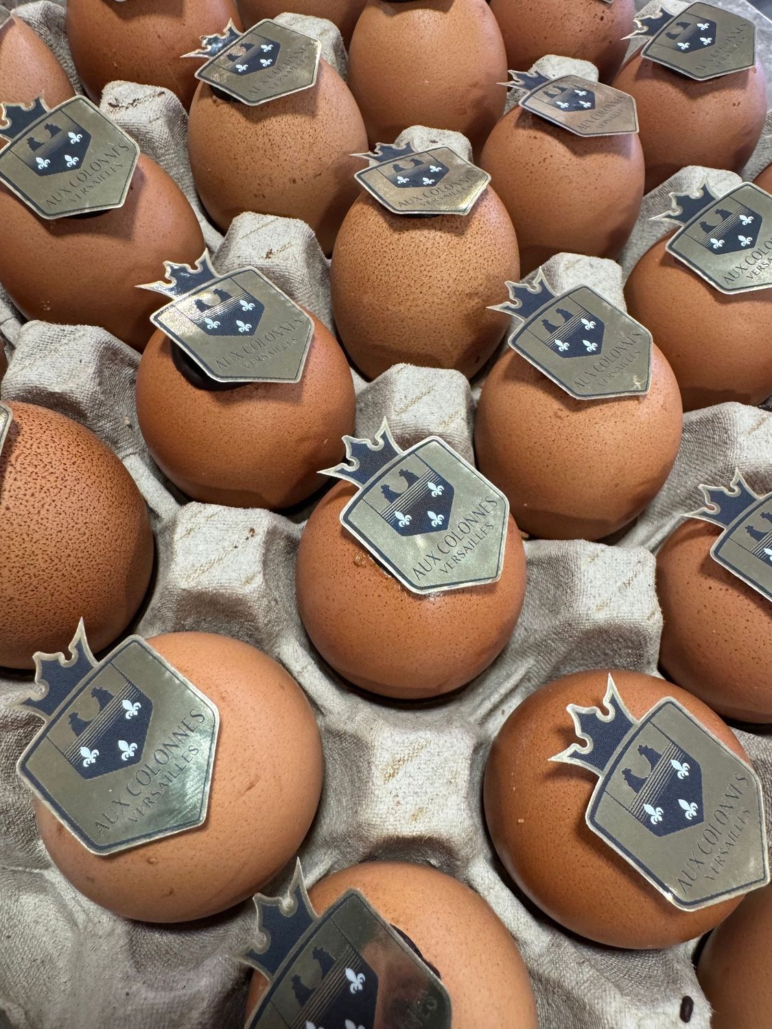 Boite de 6 œufs coquilles pralinés