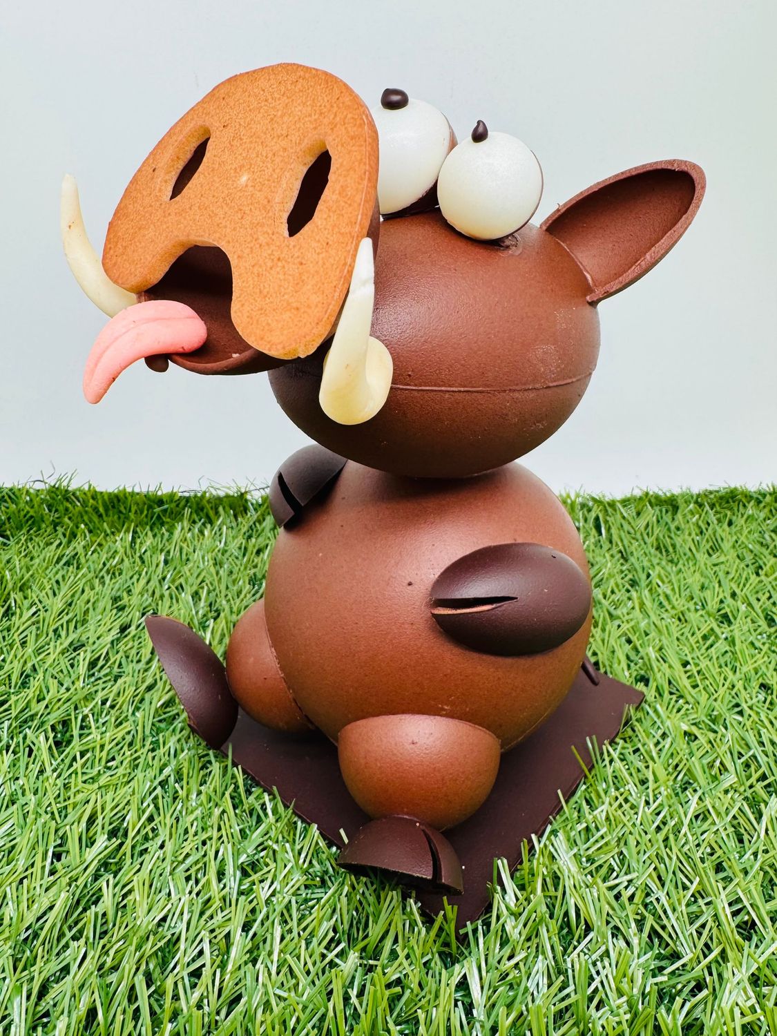 PHACOCHÈRE noir ou lait