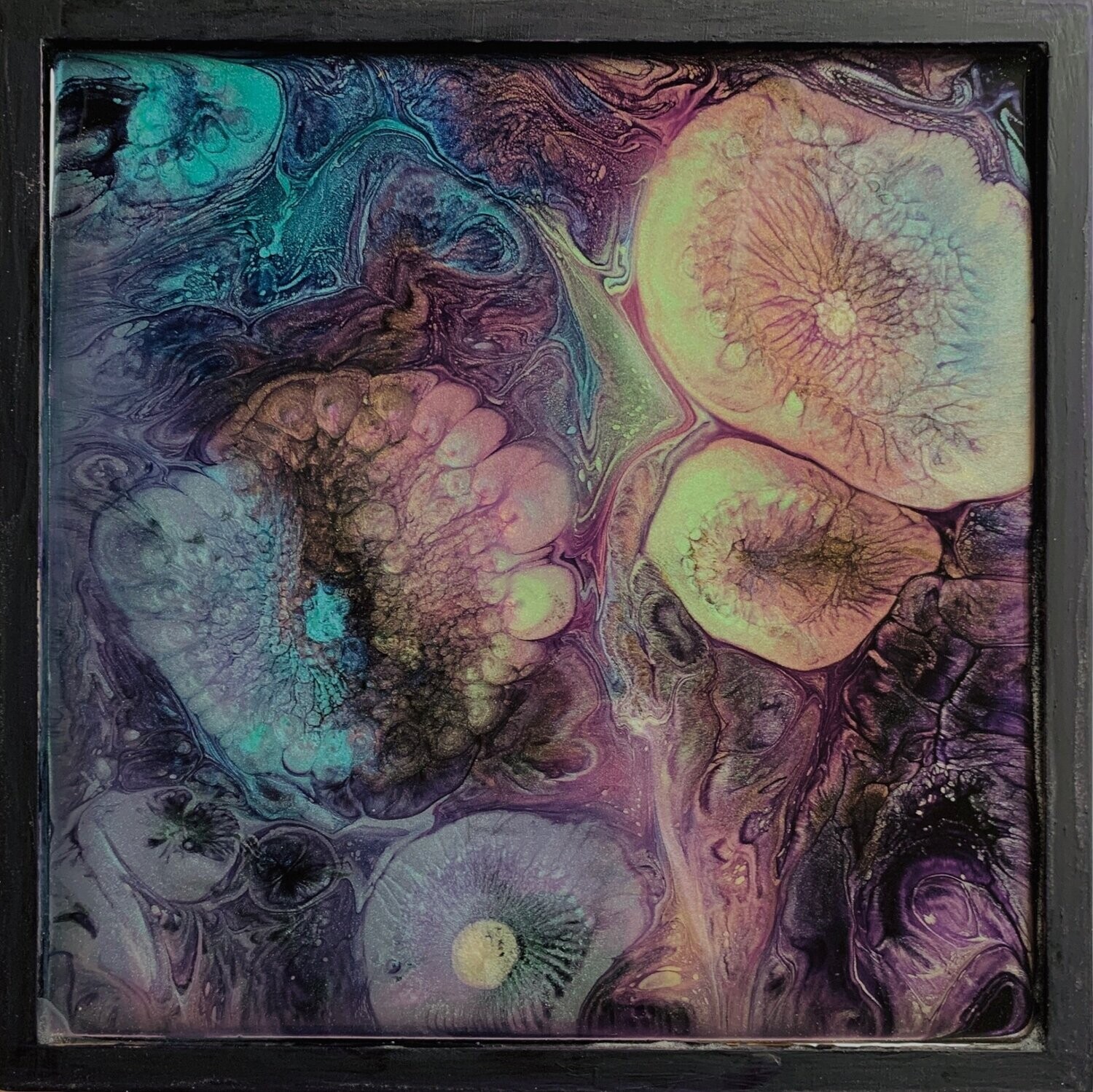 Purple Jellyfish