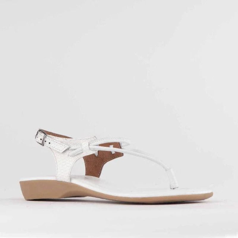 Froggie - White Toe Thong