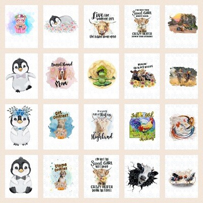 Animals