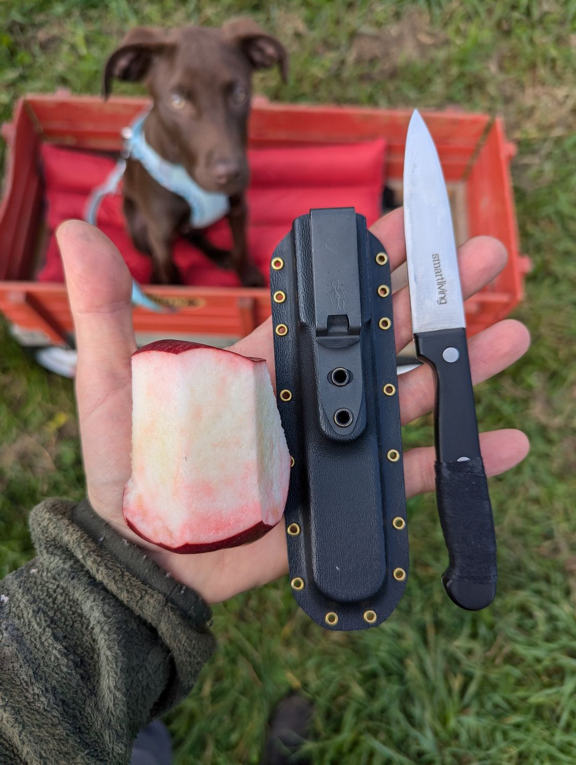 Travel Paring Knife Sheath