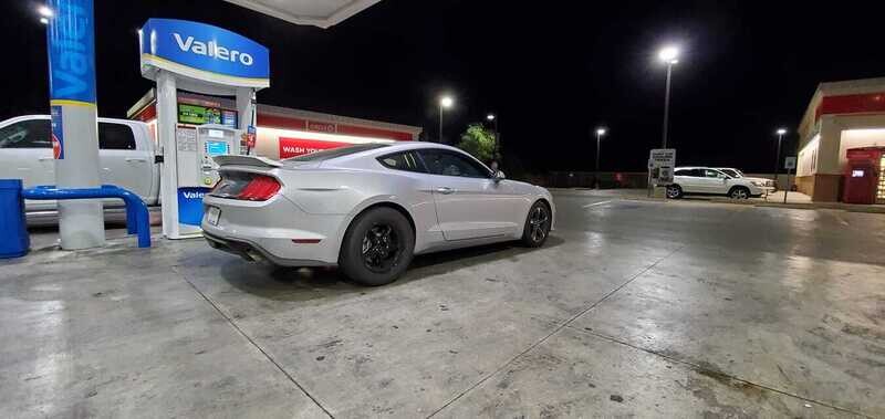 Mustang Ecoboost