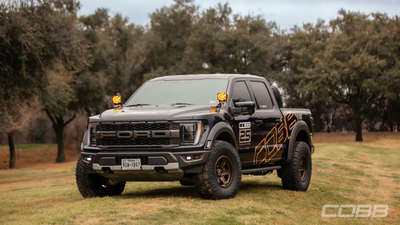 Raptor
