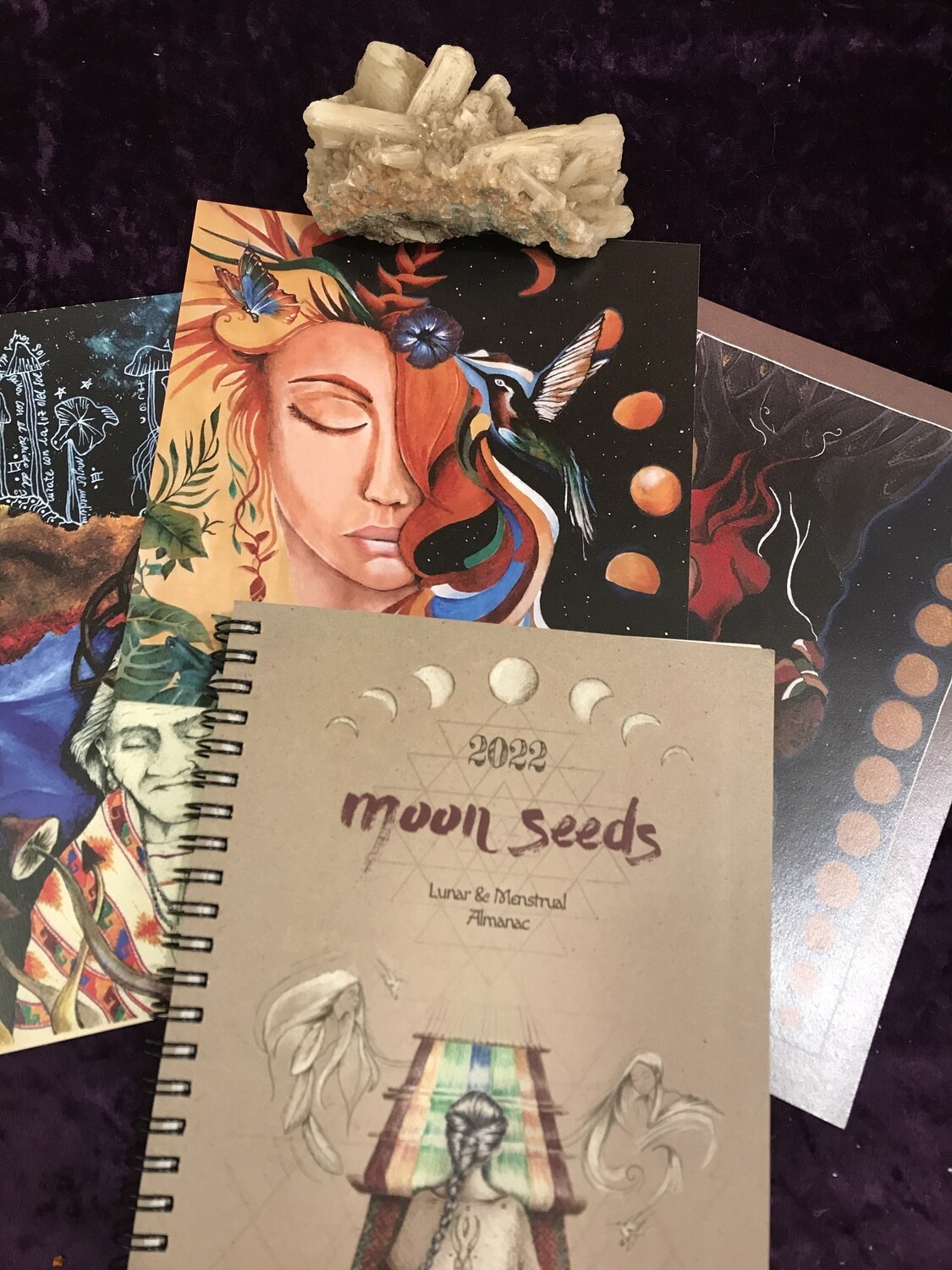 Moon Seeds 2022 + Prints +free Bookmark USA ,CANADA & ONLY