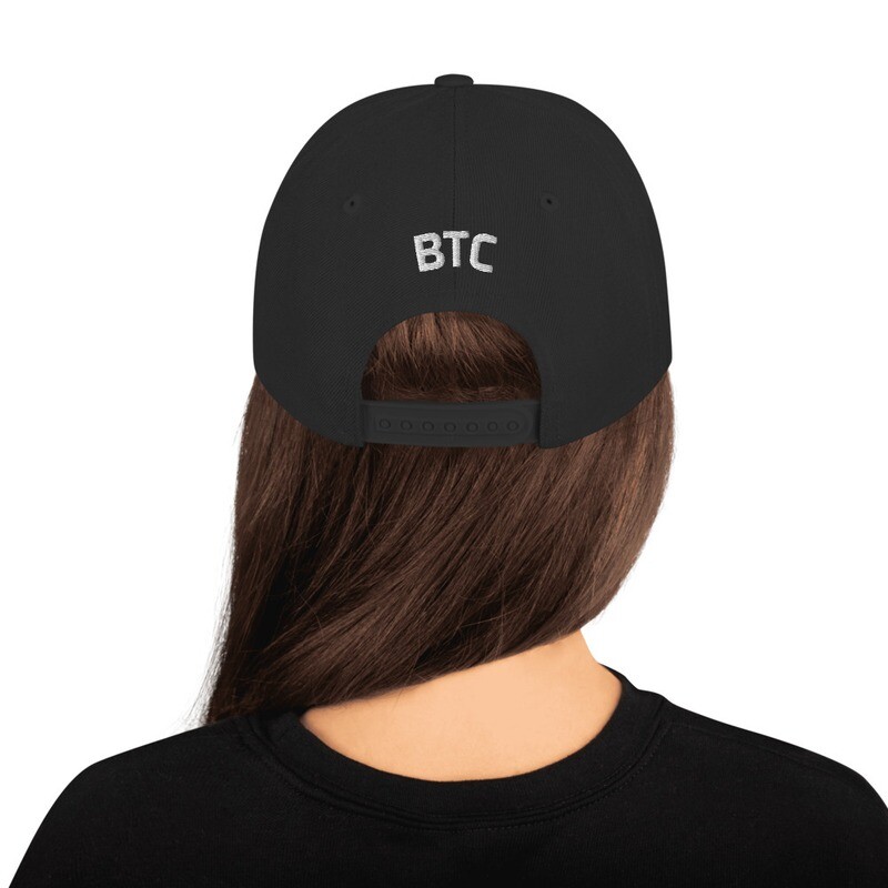 Bitcoin HODL* Snapback [Original]