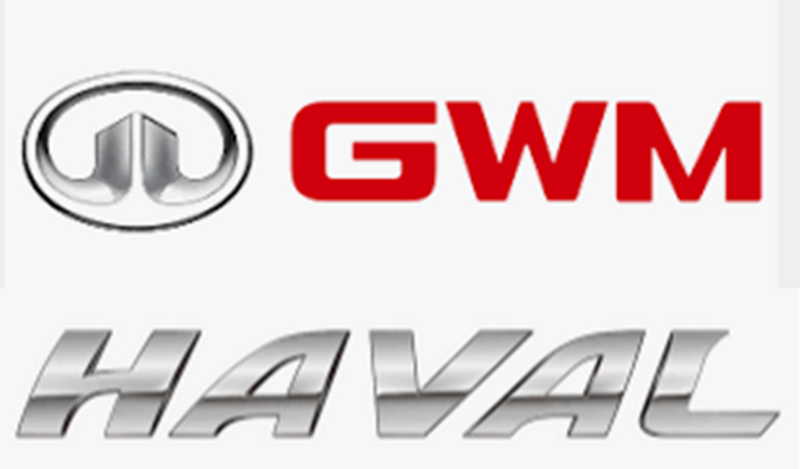 GWM/HAVAL  Cannon