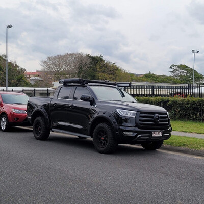 GWM cannon Flares (PRE FACELIFT MODEL)