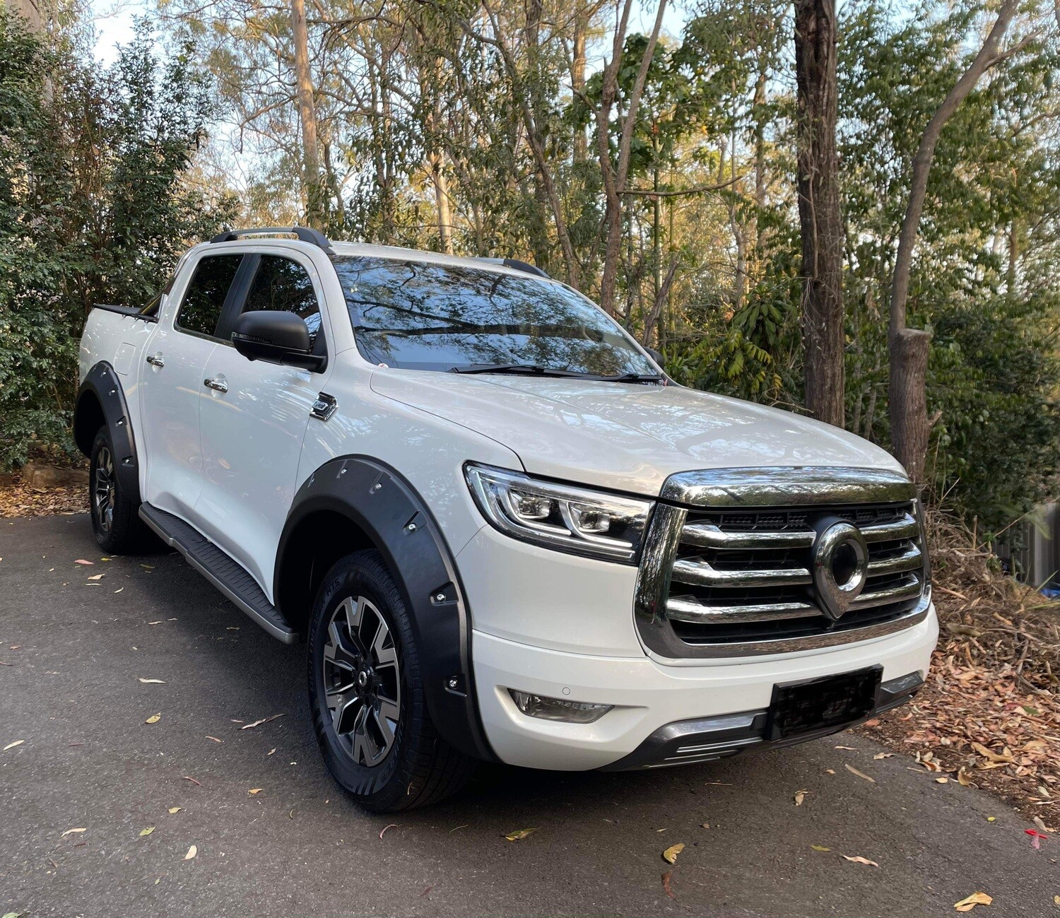 GWM cannon Flares Gen II (PRE FACELIFT MODEL)