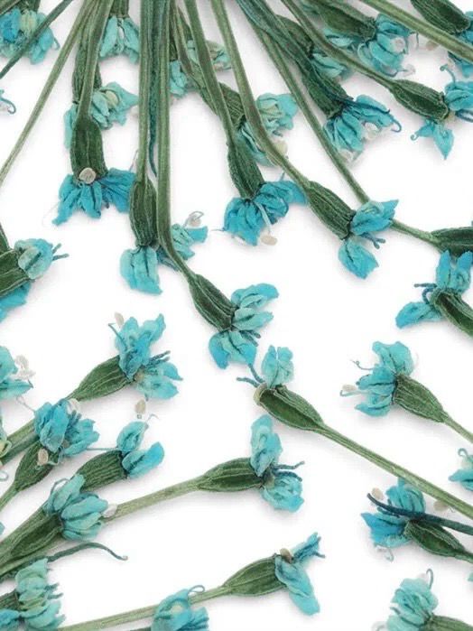 Nailart Dried Flowers Blue