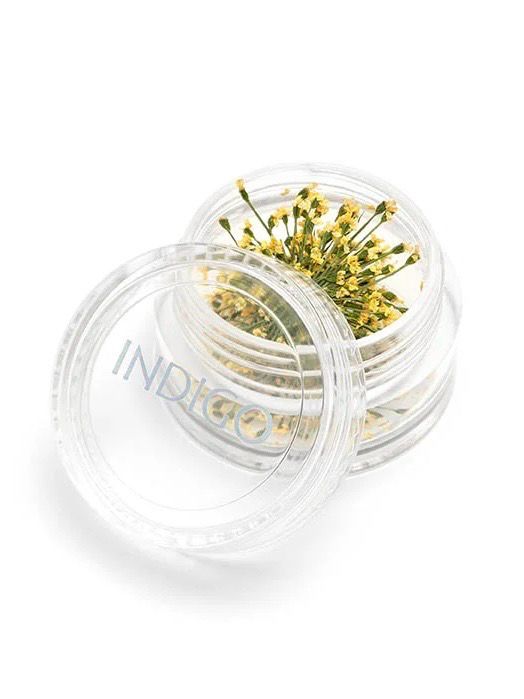 Nailart Dried Flowers Yellow