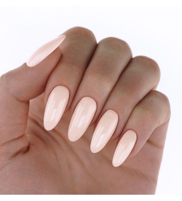 Hot Apricot