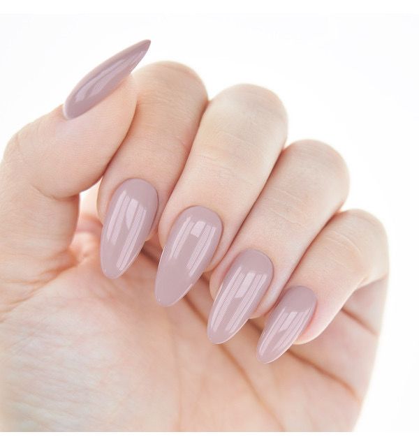 Bon Ton