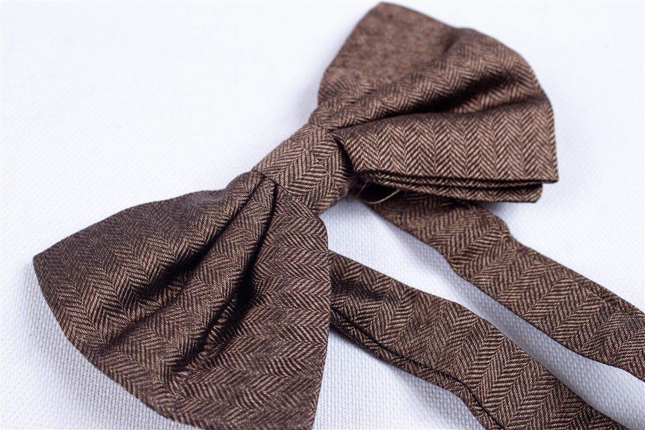 ZARA MAN Bow Tie