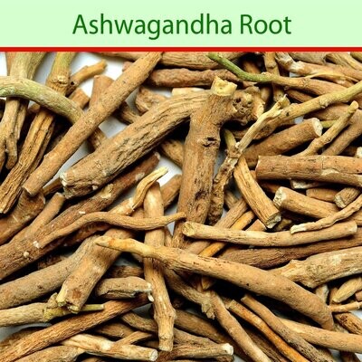 ASHWAGANDHA FORTE: IMMUNE AND STRESS SUPPORT