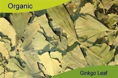 GINKGO FORTE: (SUPPORT BLOOD CIRCULATION &amp; CELL FUNCTIONS)