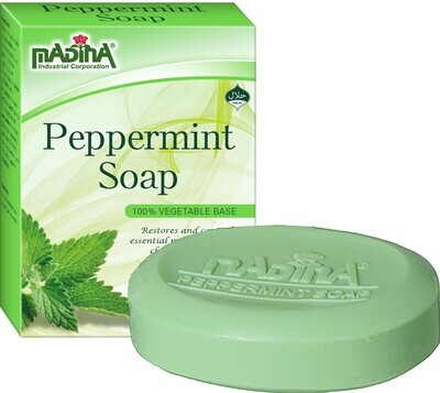 Peppermint Soap Case