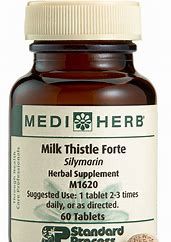 Milk Thistle