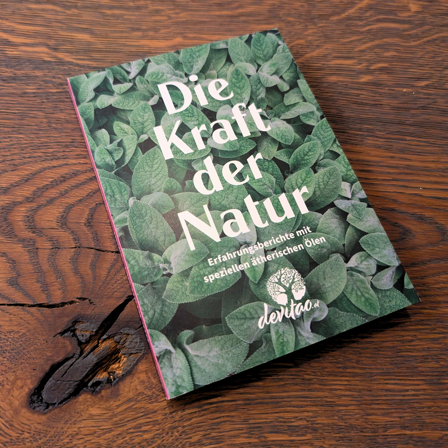 Die Kraft der Natur - Ausgabe 2025