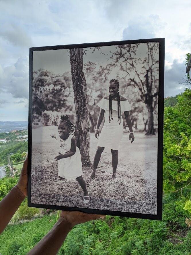 Framed Canvas Print