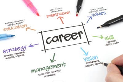 DISC Career Management Assessment DISC Career Management Assessment