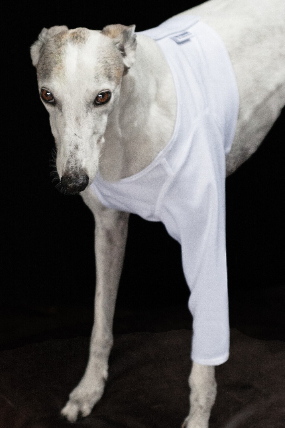 post-op front leg sleeve