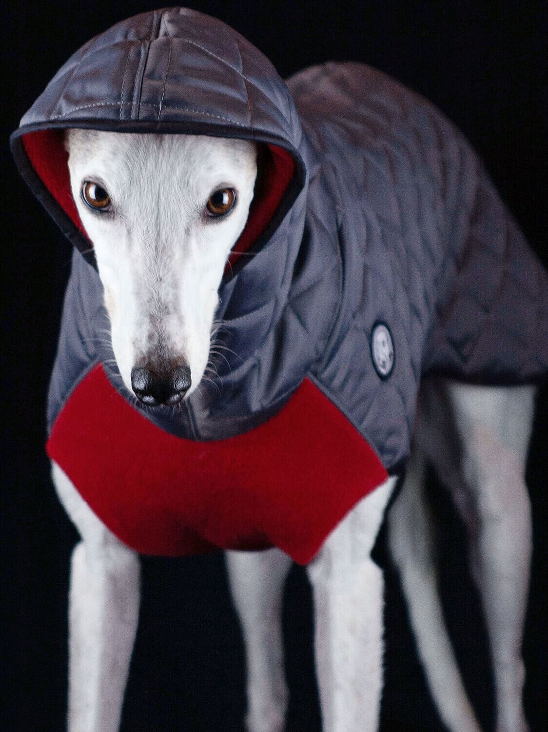deluxe snoggla coat