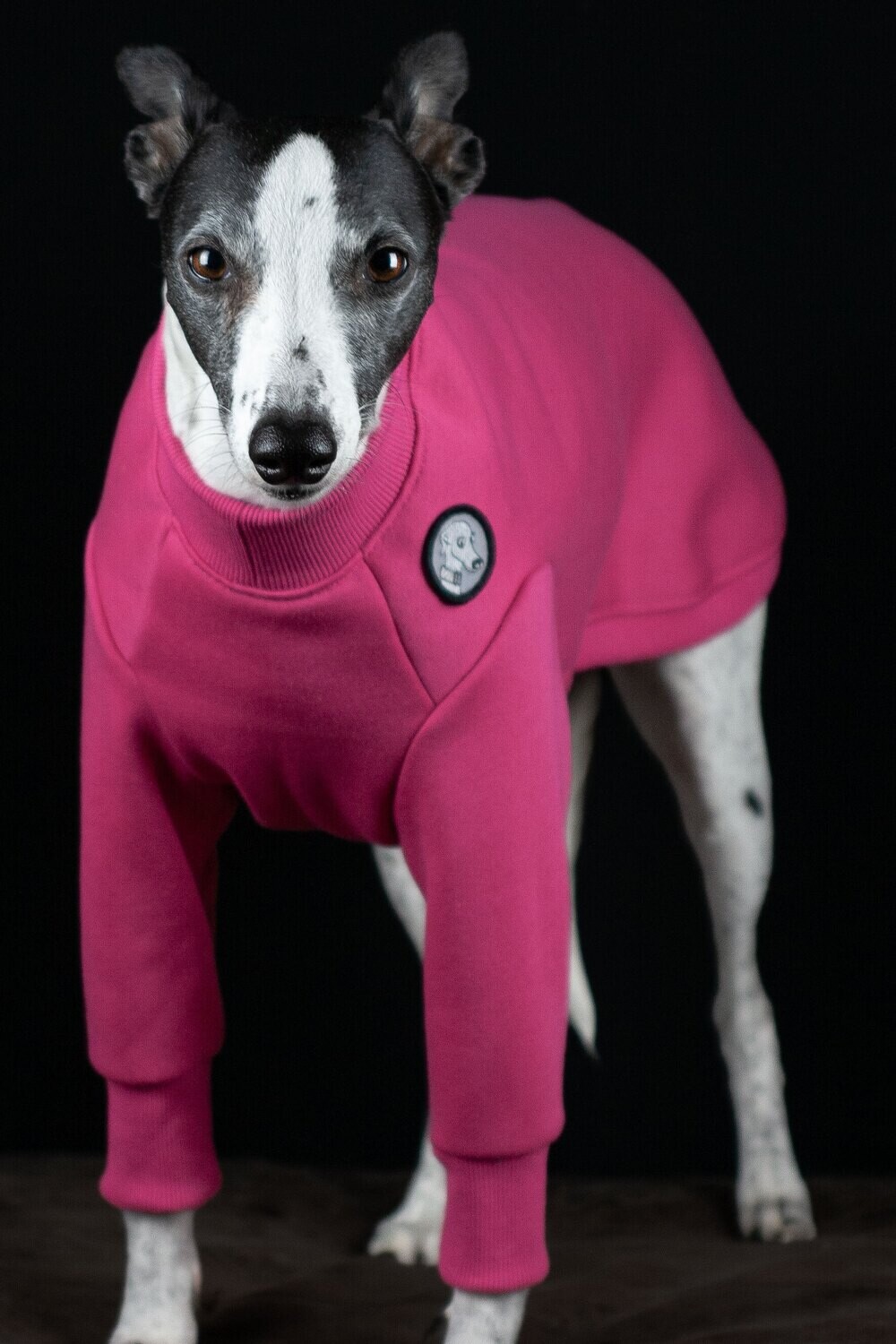 2 leg sweatshirt