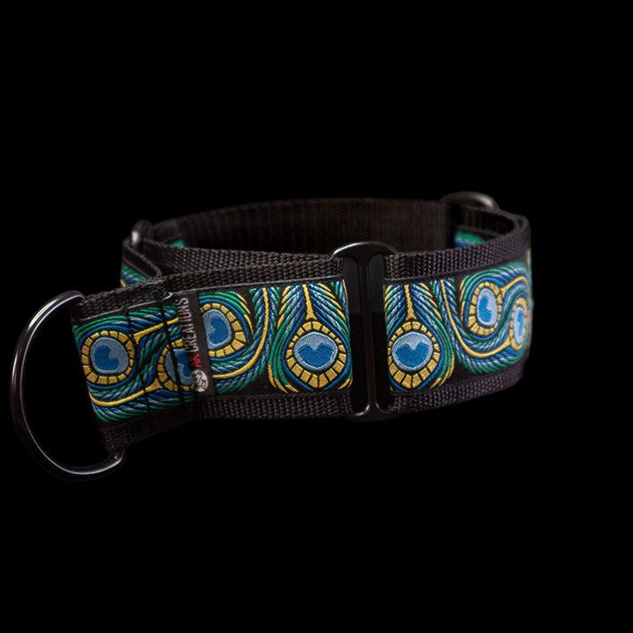 martingale collar - peacock
