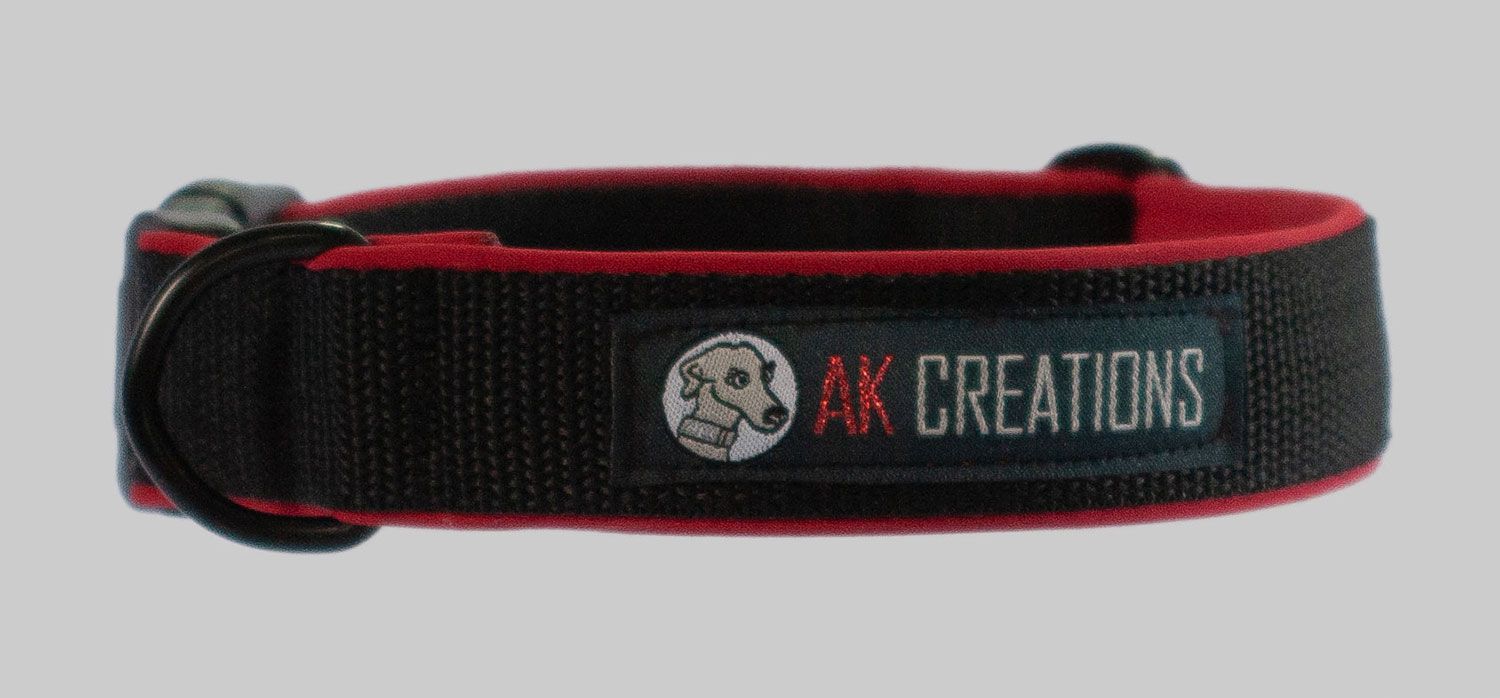 cushioned tag collar