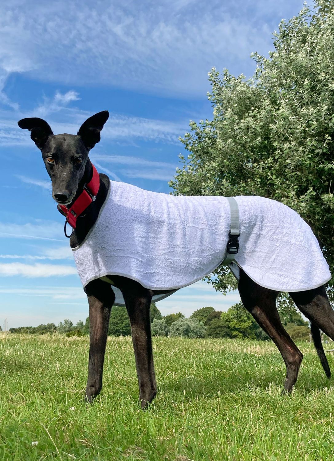 keep cool coat
