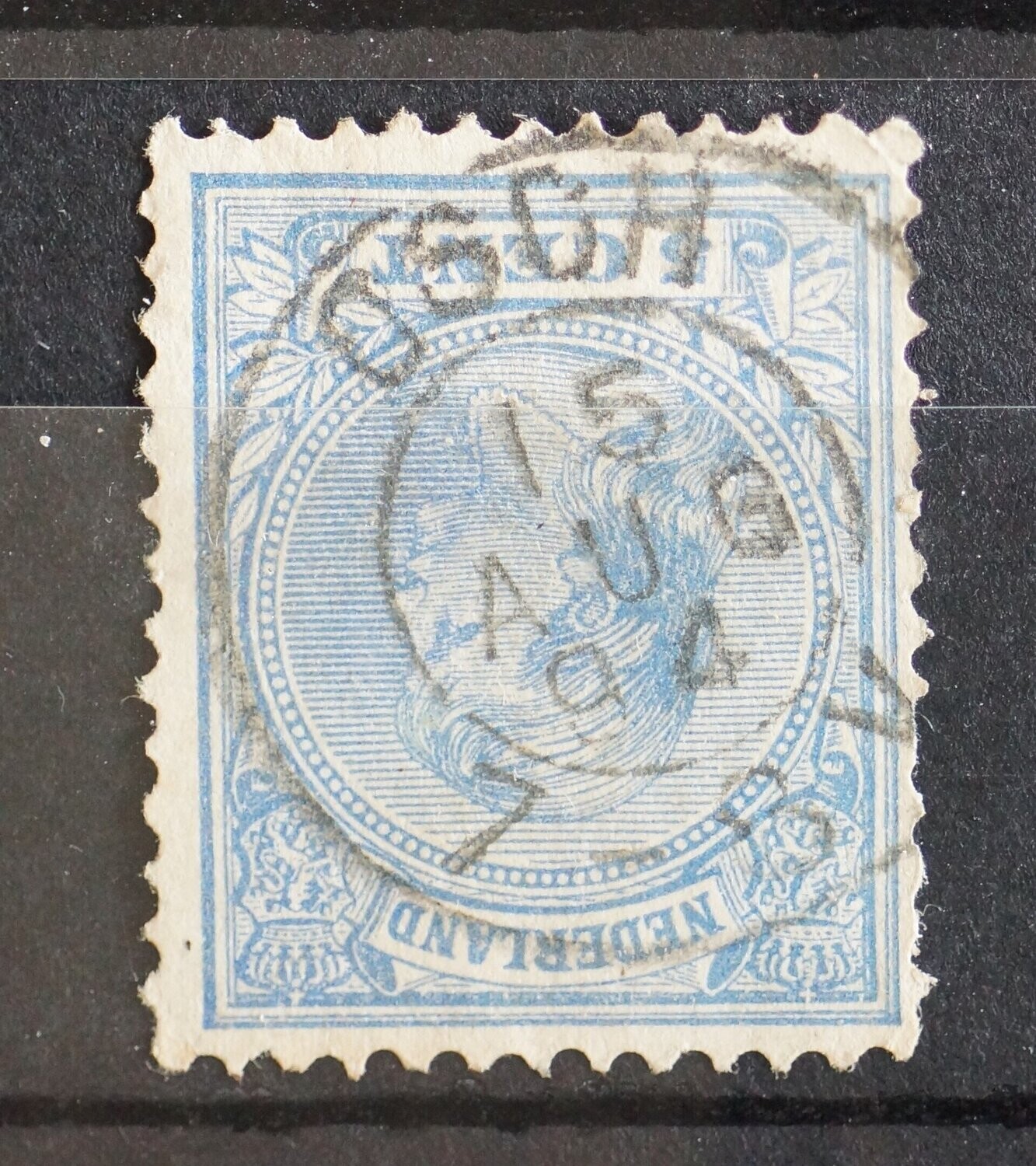 Osch op NVPH 35