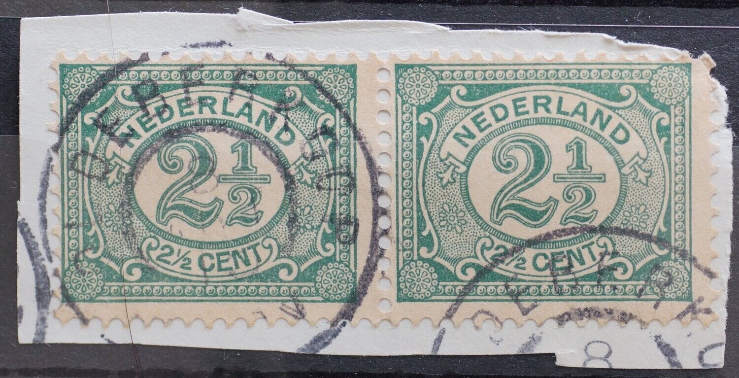 Oldeberkoop op NVPH 55 (paar)
