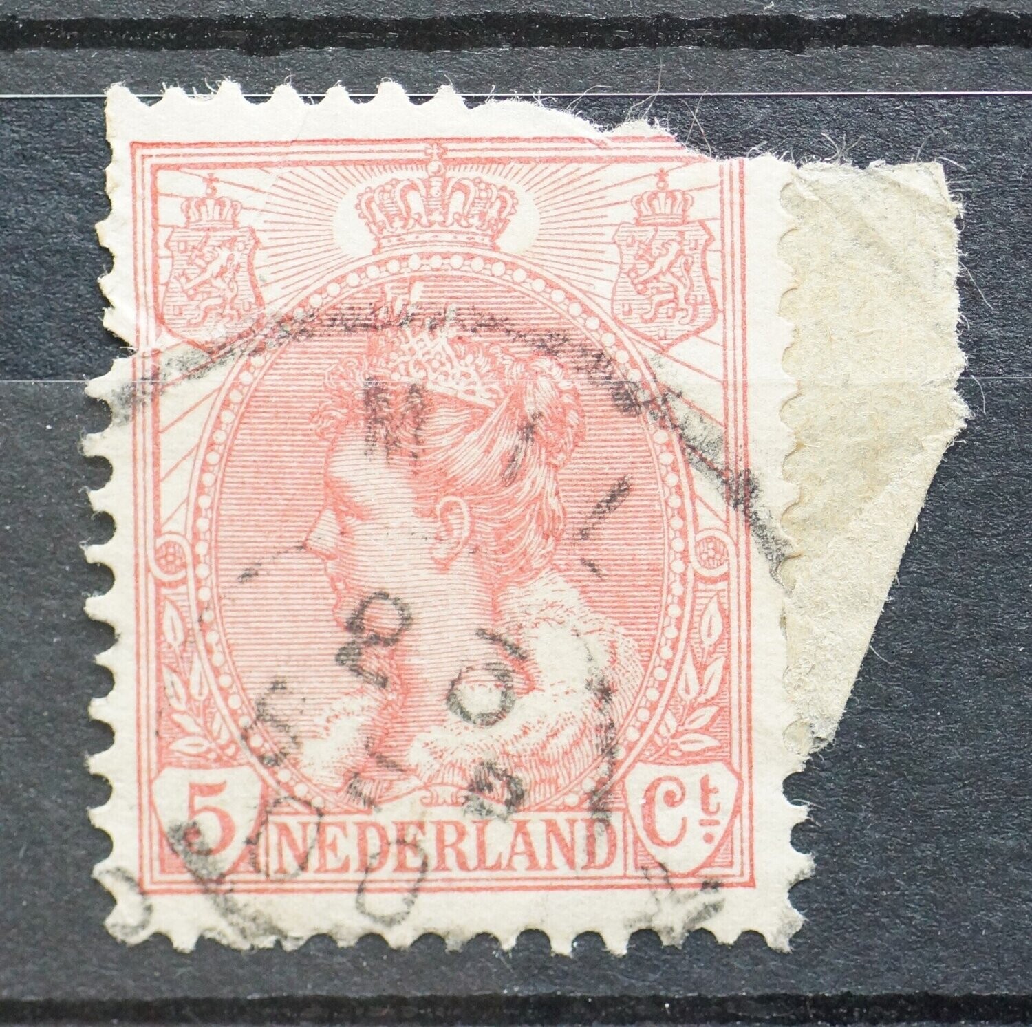 Mil op NVPH 60 (fraai) - schaars!