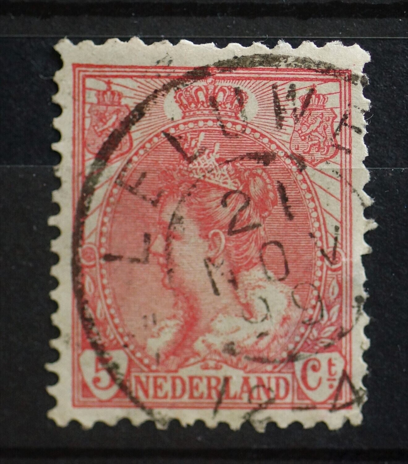Leeuwen op NVPH 60