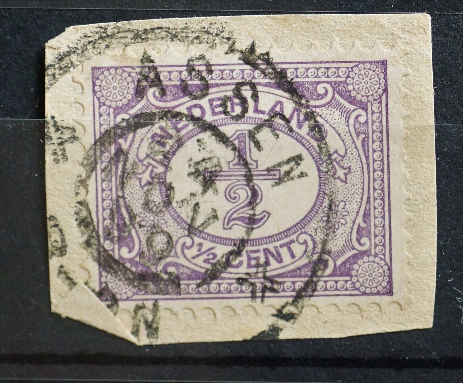 Assen (1899) op NVPH 50
