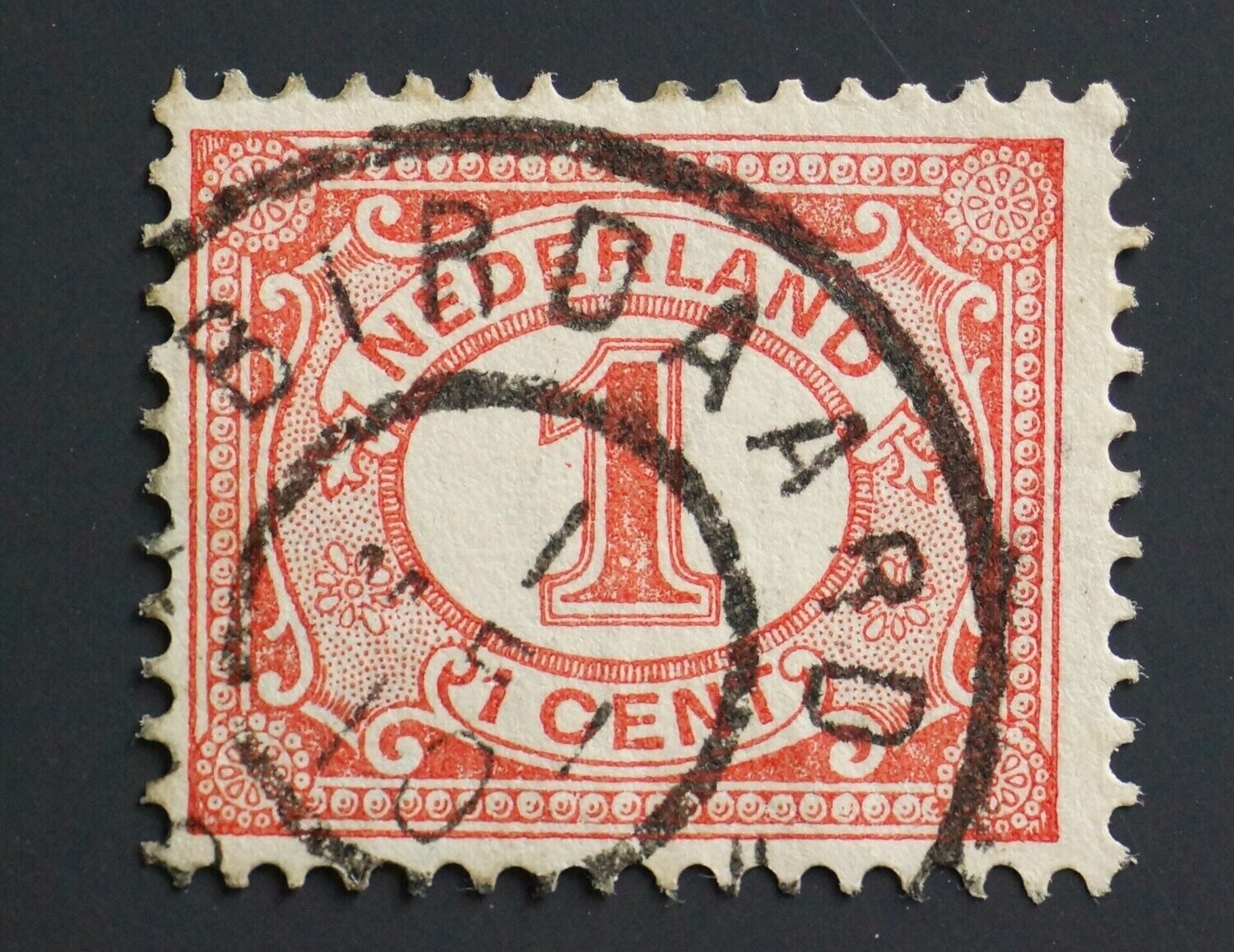 Birdaard op NVPH 51