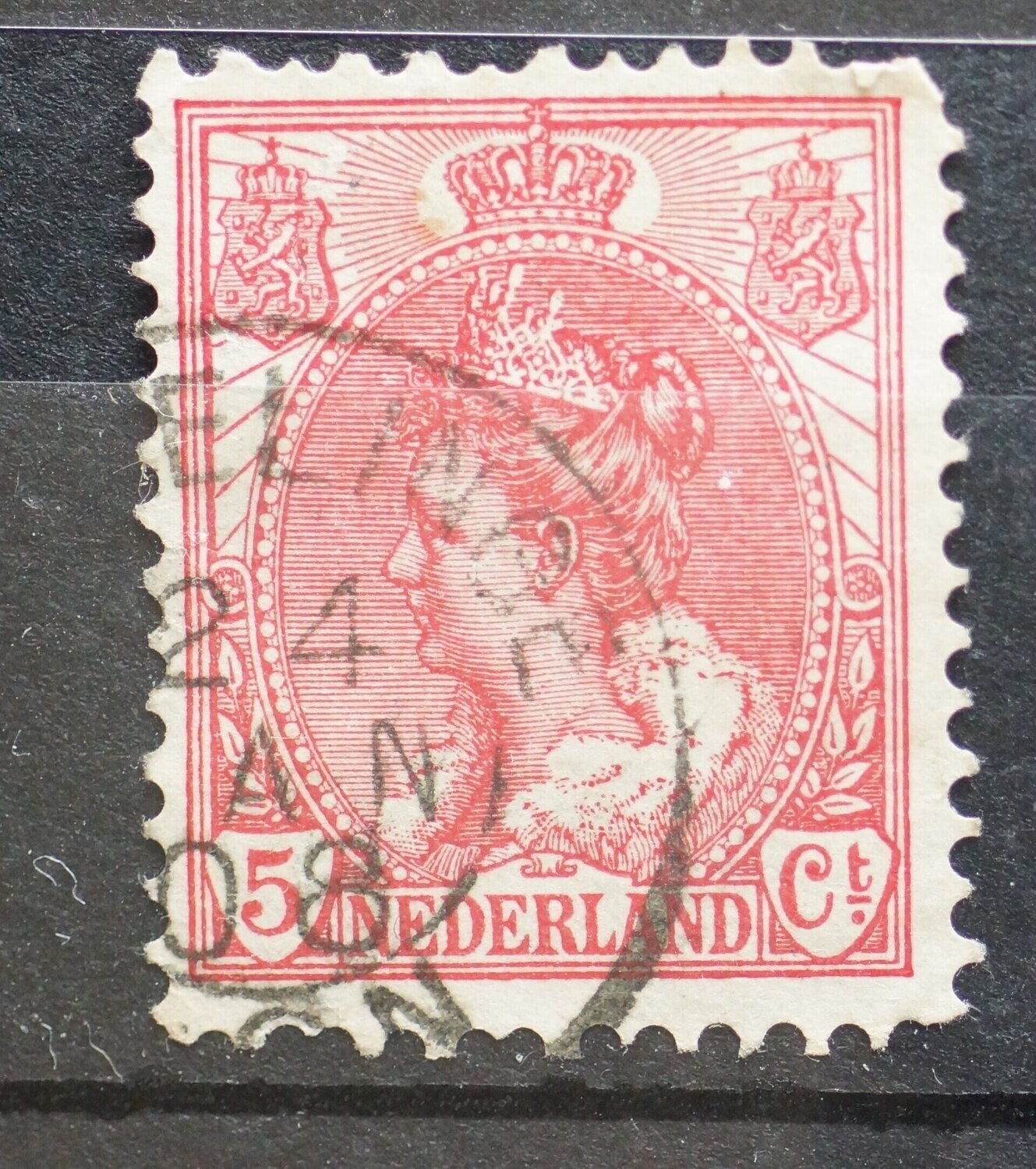 Biezelinge op NVPH 60