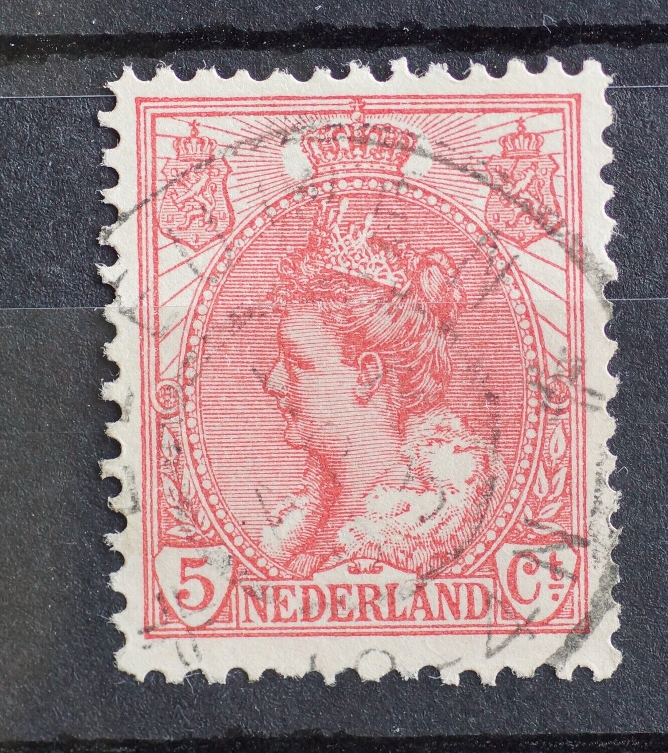 Leeuwen op NVPH 60