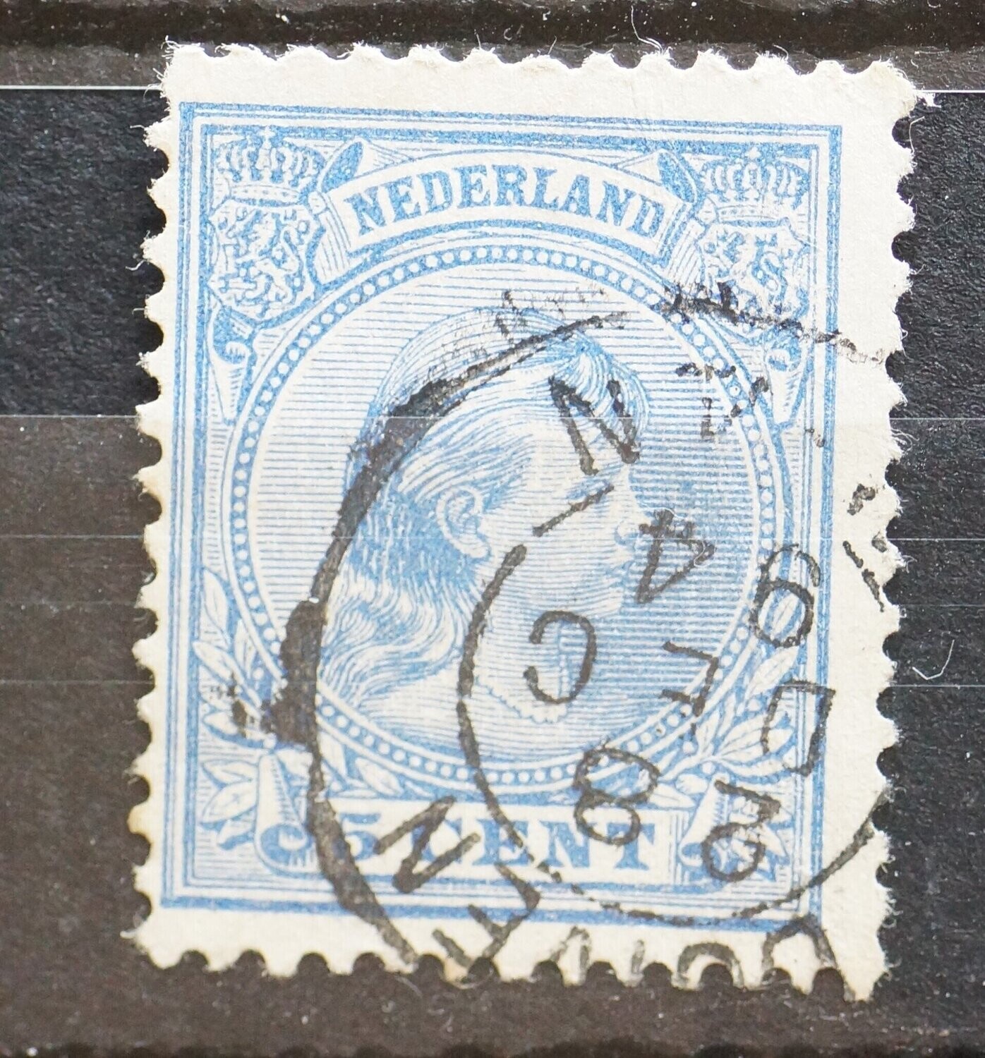 Duiven op NVPH 35